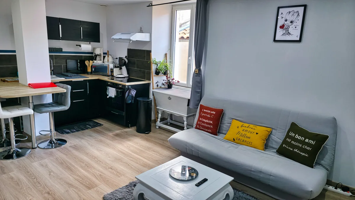 salon-appartement-millau-centre